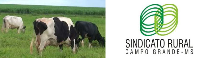 Sindicato Rural de Campo Grande MS