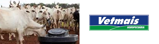 Vetmais Campo Grande Vetmais Campo Grande