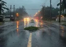 estragos temporais Campo Grande