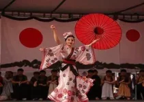 Festival do Japão