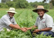 nova parceria agricultura familiar Campo Grande