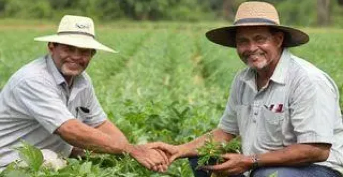 nova parceria agricultura familiar Campo Grande