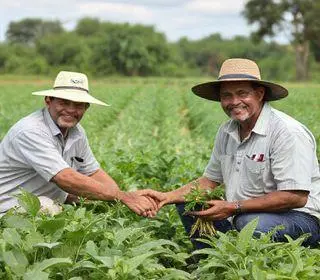 nova parceria agricultura familiar Campo Grande