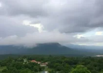 previsão do tempo
