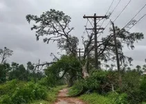 temporal