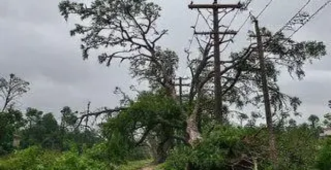 temporal