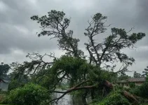 temporal em Campo Grande