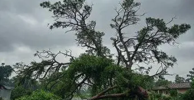 temporal em Campo Grande