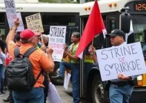 greve dos ônibus