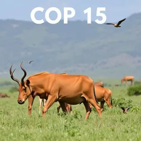 COP15 das Espécies Migratórias
