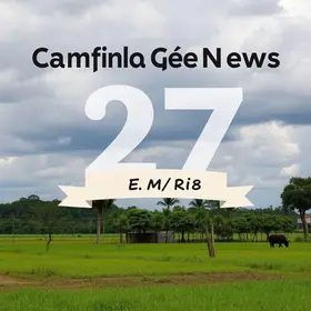 Campo Grande News