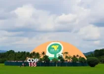 COP 15