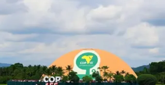 COP 15