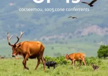 COP15