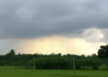 Previsão do Tempo
