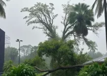 chuva rápida com ventos fortes