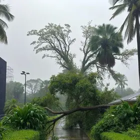 chuva rápida com ventos fortes
