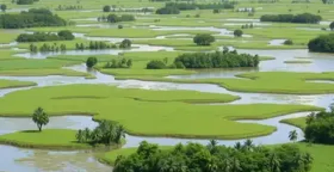 COP15 Pantanal