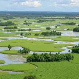 COP15 Pantanal