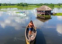 Casa do Homem Pantaneiro