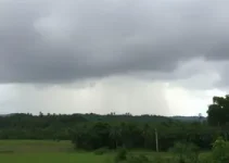 previsão do tempo em Mato Grosso do Sul