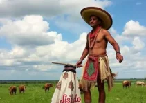 cultura sertaneja de MS
