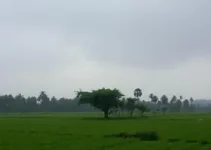 chuva em Campo Grande