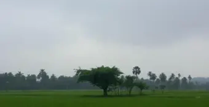 chuva em Campo Grande