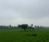 chuva em Campo Grande