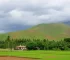 Campo Grande