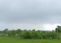 chuva e frente fria