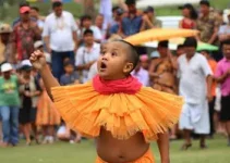 educação ambiental
