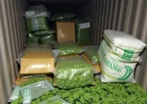 apreensão de maconha em carga de cerveja
