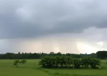 Frente fria mínima 5°C Mato Grosso do Sul
