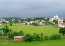 arara mutante